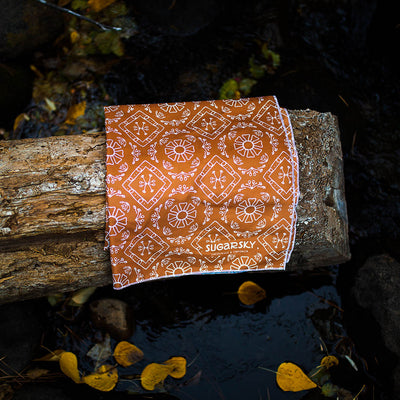 In the Wild / Orange Paisley Blanket Towel